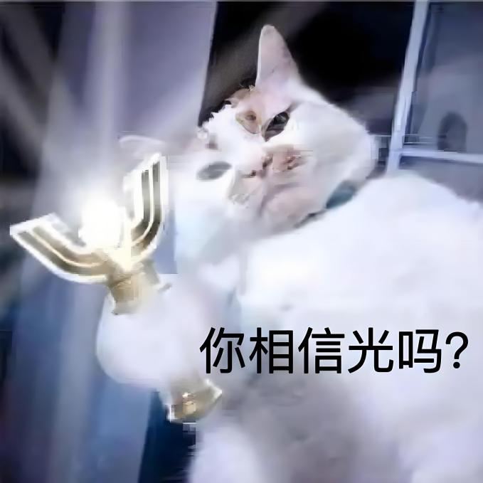202503180830032174.Jpeg
